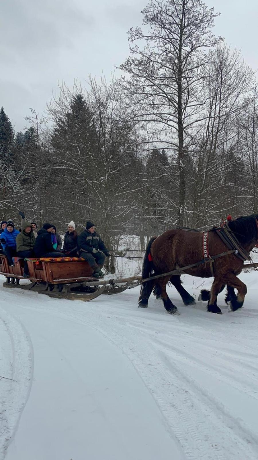 Chatka Wagabundy Wola Michowa Exteriör bild