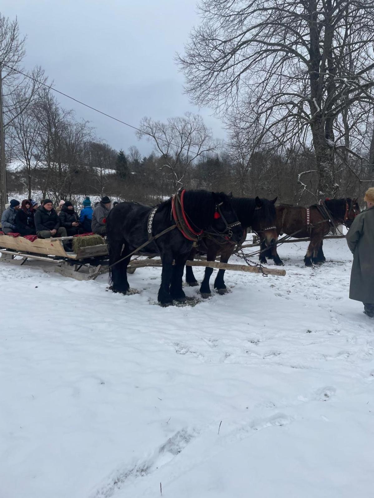 Chatka Wagabundy Wola Michowa Exteriör bild