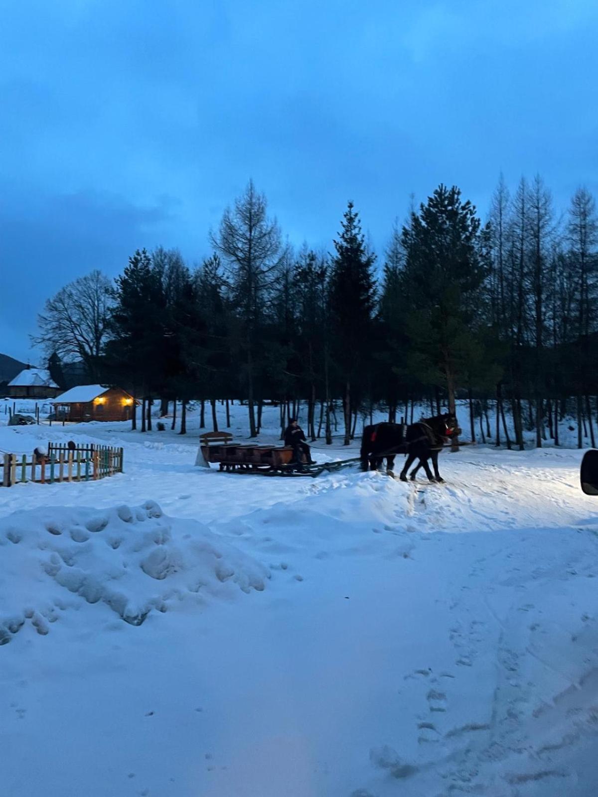 Chatka Wagabundy Wola Michowa Exteriör bild