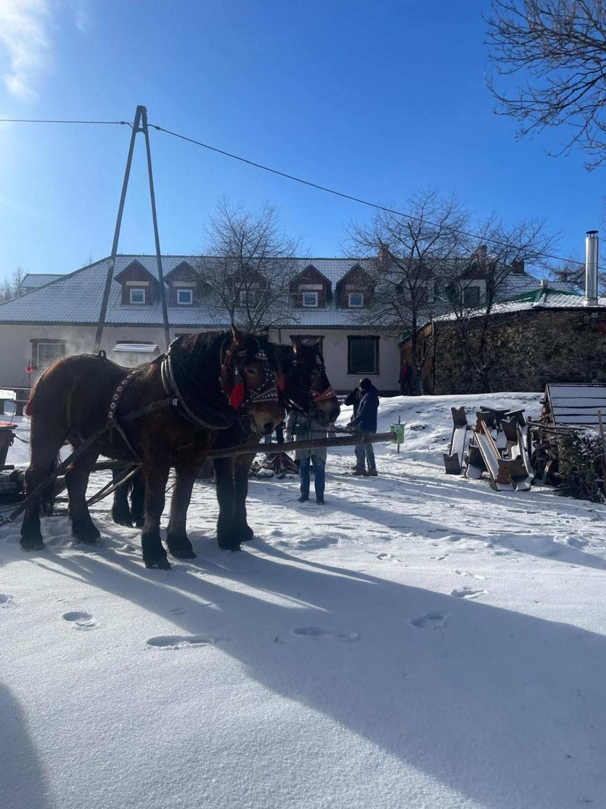 Chatka Wagabundy Wola Michowa Exteriör bild