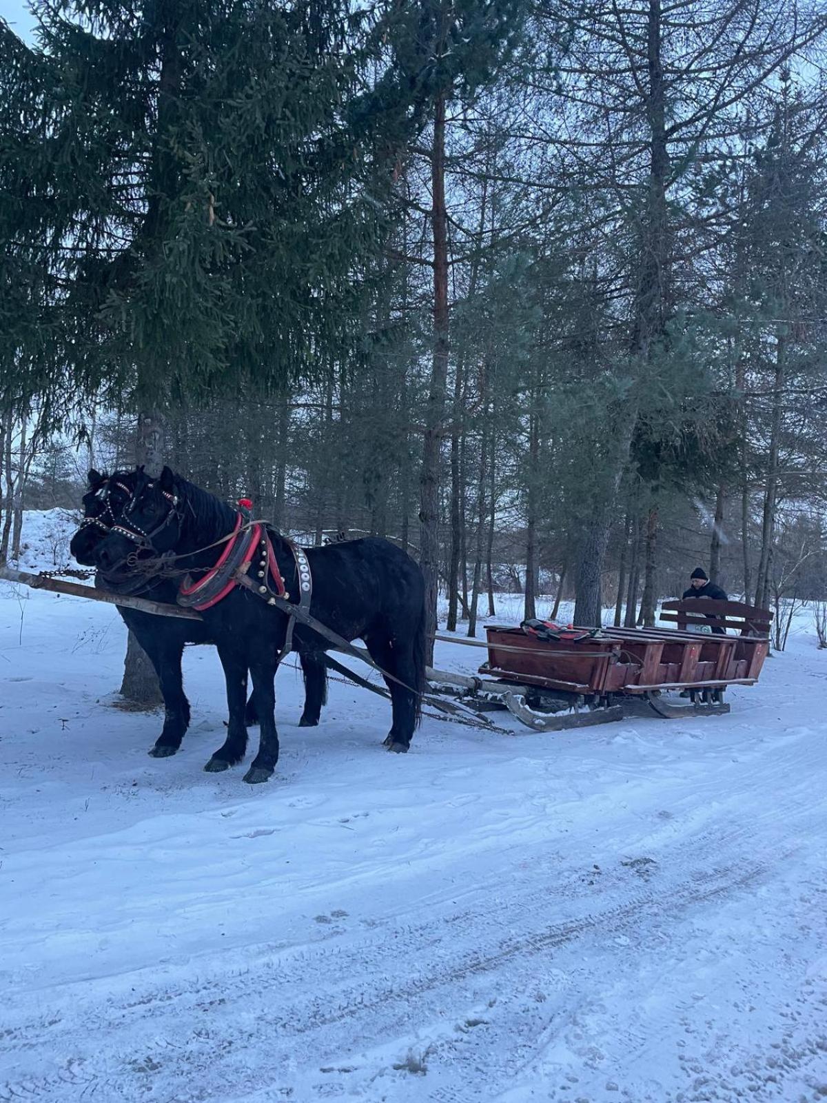 Chatka Wagabundy Wola Michowa Exteriör bild